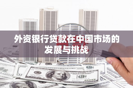 雨花台外资银行贷款在中国市场的发展与挑战