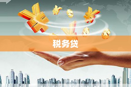 雨花台税务贷