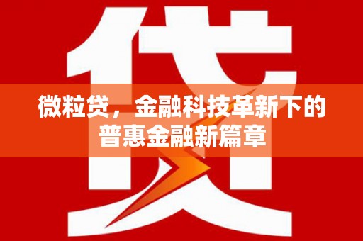 雨花台微粒贷，金融科技革新下的普惠金融新篇章