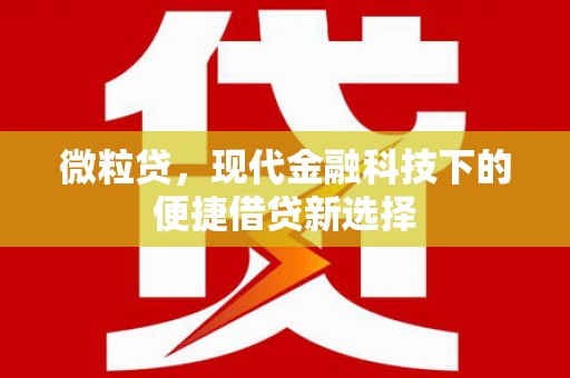 雨花台微粒贷，现代金融科技下的便捷借贷新选择