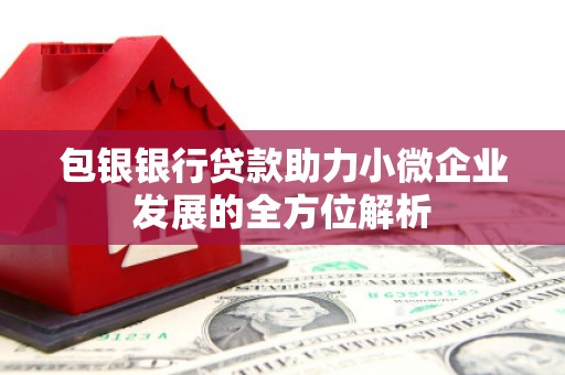 雨花台包银银行贷款助力小微企业发展的全方位解析