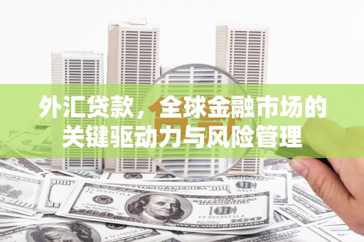 雨花台外汇贷款，全球金融市场的关键驱动力与风险管理