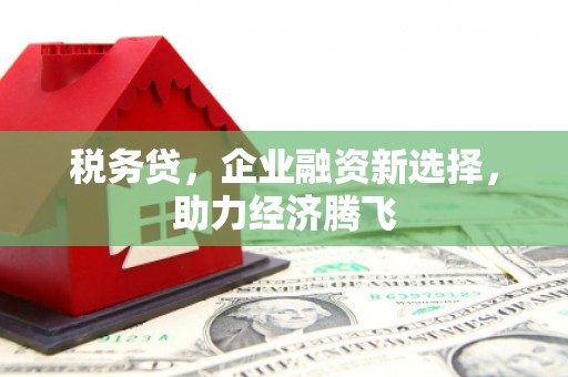 雨花台税务贷，企业融资新选择，助力经济腾飞