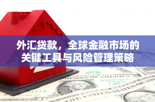 雨花台外汇贷款，全球金融市场的关键工具与风险管理策略
