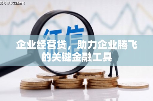 雨花台企业经营贷，助力企业腾飞的关键金融工具