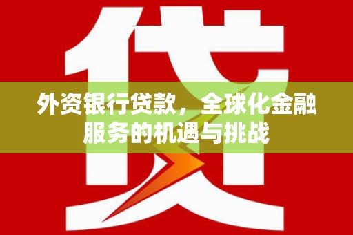 雨花台外资银行贷款，全球化金融服务的机遇与挑战