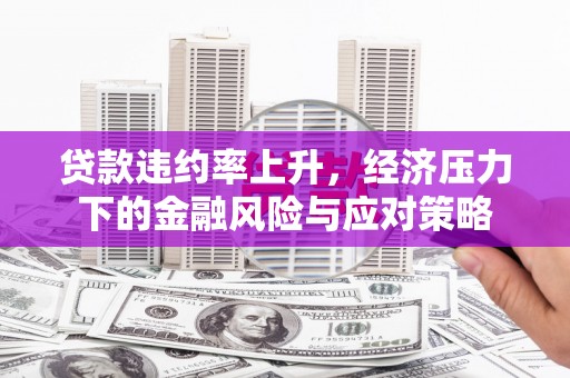雨花台贷款违约率上升，经济压力下的金融风险与应对策略