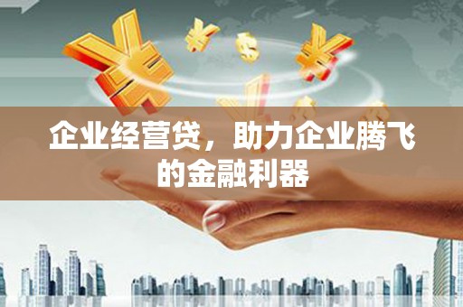 雨花台企业经营贷，助力企业腾飞的金融利器