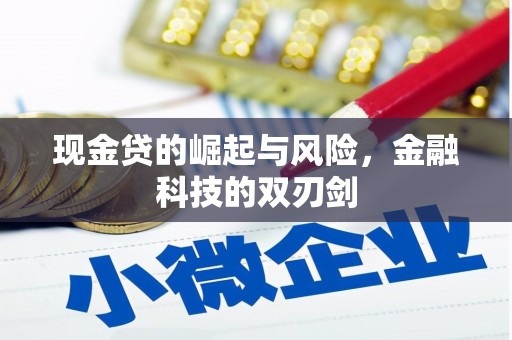 雨花台现金贷的崛起与风险，金融科技的双刃剑