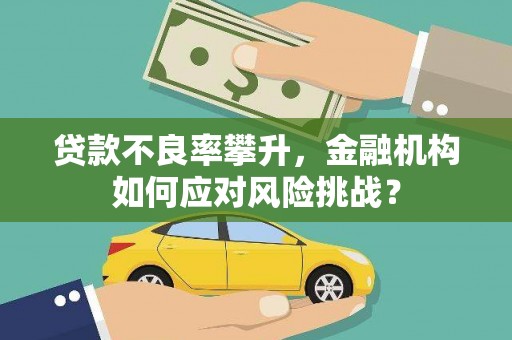 雨花台贷款不良率攀升，金融机构如何应对风险挑战？