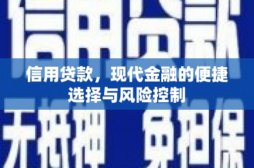 雨花台信用贷款，现代金融的便捷选择与风险控制