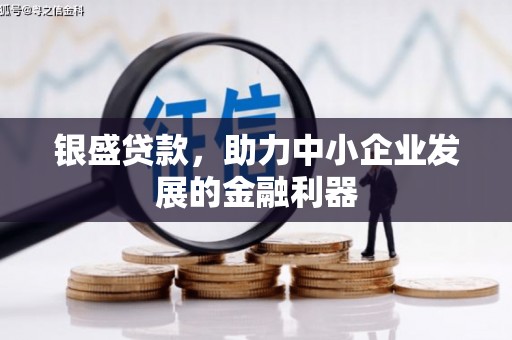 雨花台银盛贷款，助力中小企业发展的金融利器