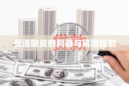 雨花台灵活融资的利器与风险控制