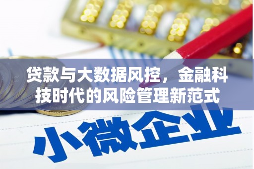 雨花台贷款与大数据风控，金融科技时代的风险管理新范式