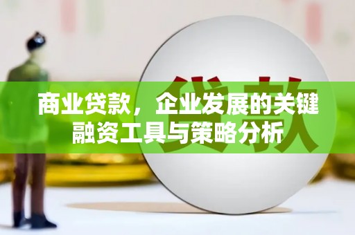 雨花台商业贷款，企业发展的关键融资工具与策略分析