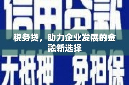雨花台税务贷，助力企业发展的金融新选择