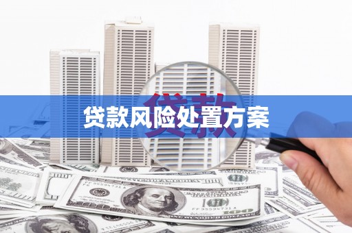 雨花台贷款风险处置方案