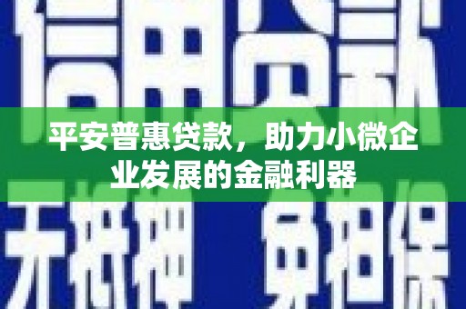 雨花台平安普惠贷款，助力小微企业发展的金融利器