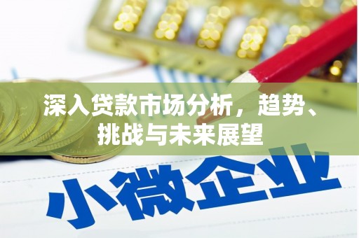 雨花台深入贷款市场分析，趋势、挑战与未来展望