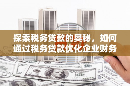 雨花台探索税务贷款的奥秘，如何通过税务贷款优化企业财务