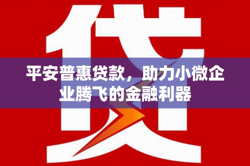 雨花台平安普惠贷款，助力小微企业腾飞的金融利器
