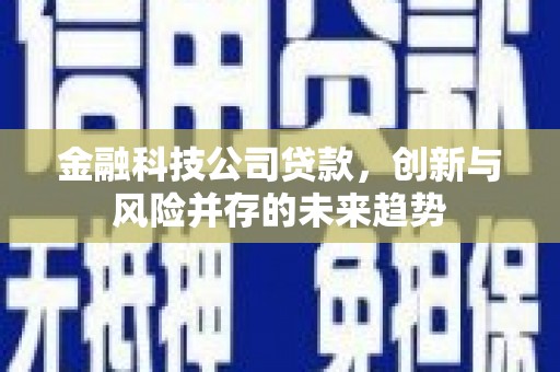 雨花台金融科技公司贷款，创新与风险并存的未来趋势
