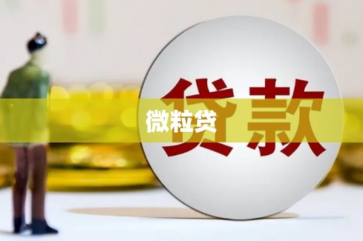 雨花台微粒贷