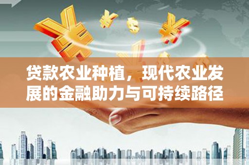 雨花台贷款农业种植，现代农业发展的金融助力与可持续路径