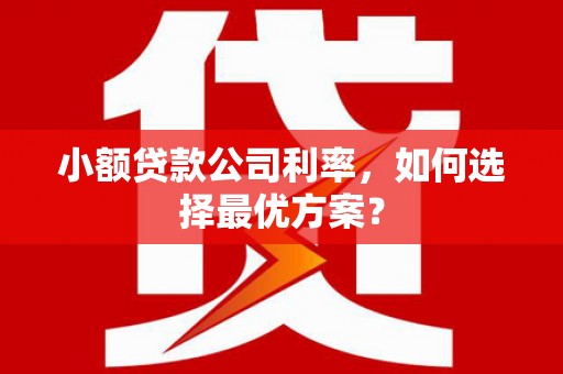 雨花台小额贷款公司利率，如何选择最优方案？