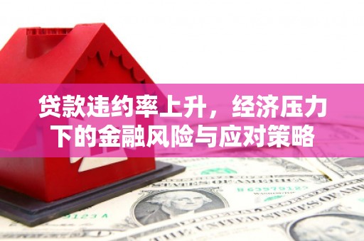 雨花台贷款违约率上升，经济压力下的金融风险与应对策略
