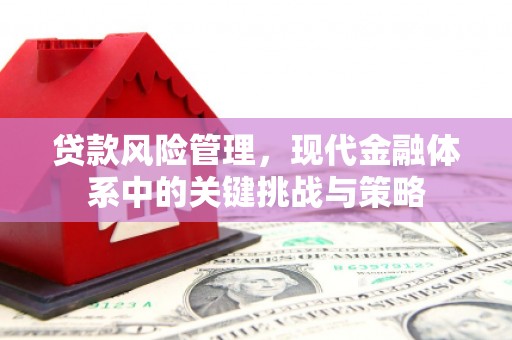 雨花台贷款风险管理，现代金融体系中的关键挑战与策略