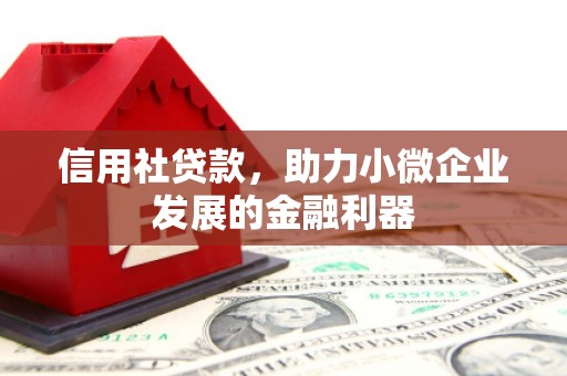 雨花台信用社贷款，助力小微企业发展的金融利器