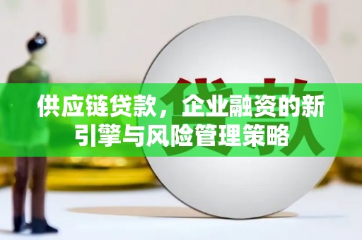 雨花台供应链贷款，企业融资的新引擎与风险管理策略