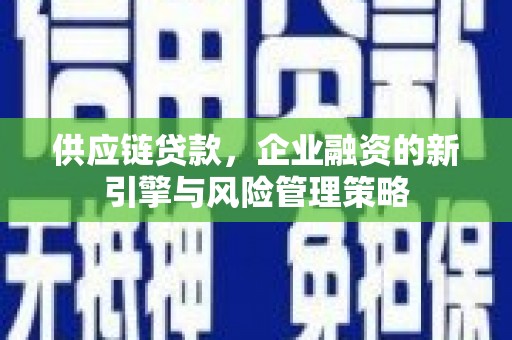 雨花台供应链贷款，企业融资的新引擎与风险管理策略