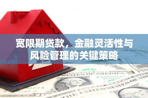 雨花台宽限期贷款，金融灵活性与风险管理的关键策略