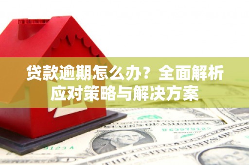雨花台贷款逾期怎么办？全面解析应对策略与解决方案