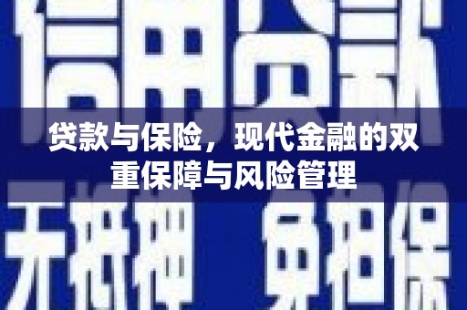 雨花台贷款与保险，现代金融的双重保障与风险管理