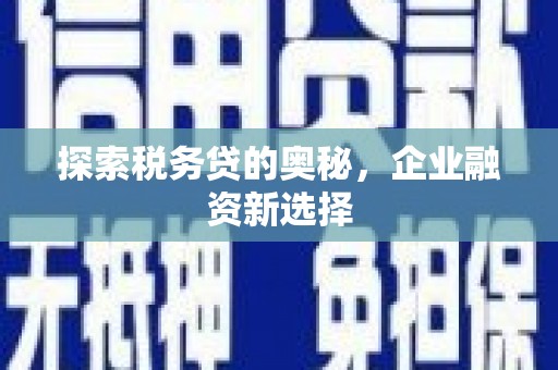 雨花台探索税务贷的奥秘，企业融资新选择