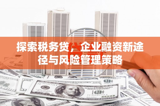 雨花台探索税务贷，企业融资新途径与风险管理策略
