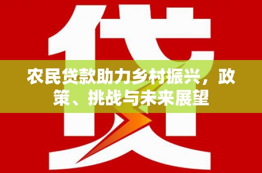 雨花台农民贷款助力乡村振兴，政策、挑战与未来展望