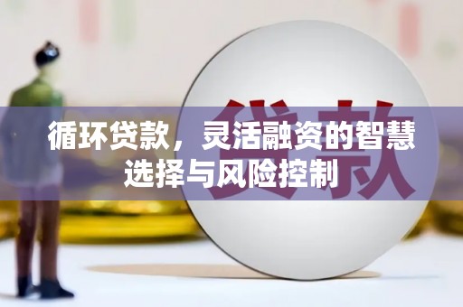 雨花台循环贷款，灵活融资的智慧选择与风险控制