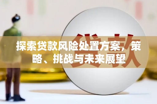 雨花台探索贷款风险处置方案，策略、挑战与未来展望