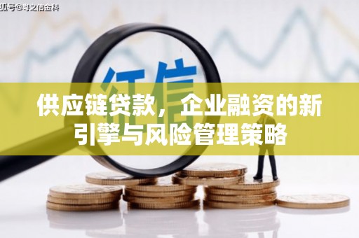 雨花台供应链贷款，企业融资的新引擎与风险管理策略