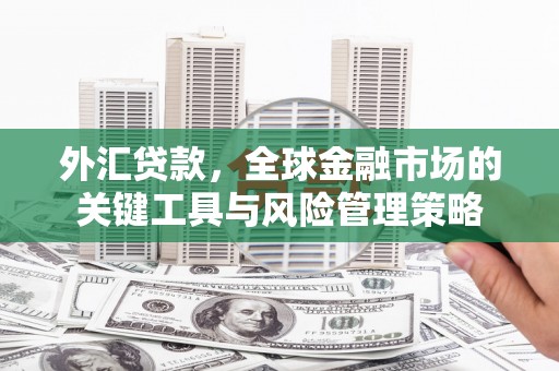 雨花台外汇贷款，全球金融市场的关键工具与风险管理策略