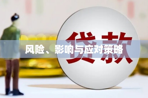 雨花台风险、影响与应对策略