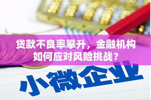 雨花台贷款不良率攀升，金融机构如何应对风险挑战？