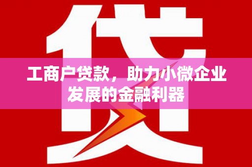雨花台工商户贷款，助力小微企业发展的金融利器