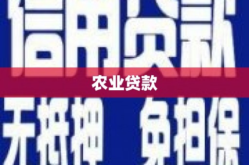 雨花台农业贷款