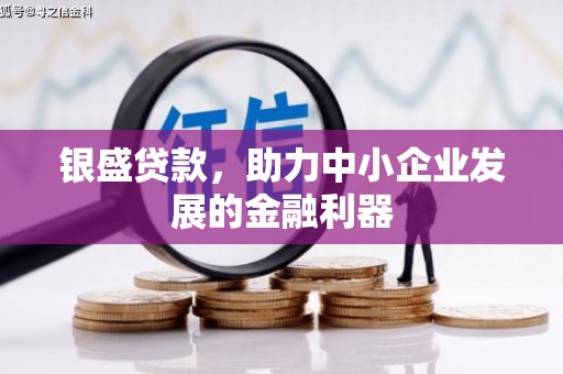 雨花台银盛贷款，助力中小企业发展的金融利器