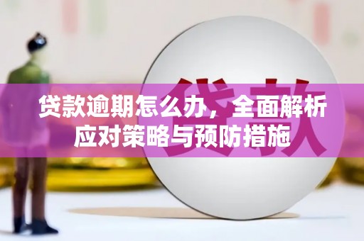 雨花台贷款逾期怎么办，全面解析应对策略与预防措施